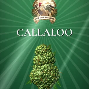 Callaloo 3.5g bag