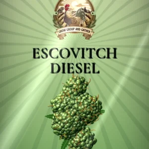 Escovitch Diesel 3.5g bag