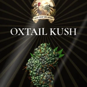 Oxtail Kush 3.5g bag
