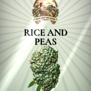 Rice and Peas 3.5g bag