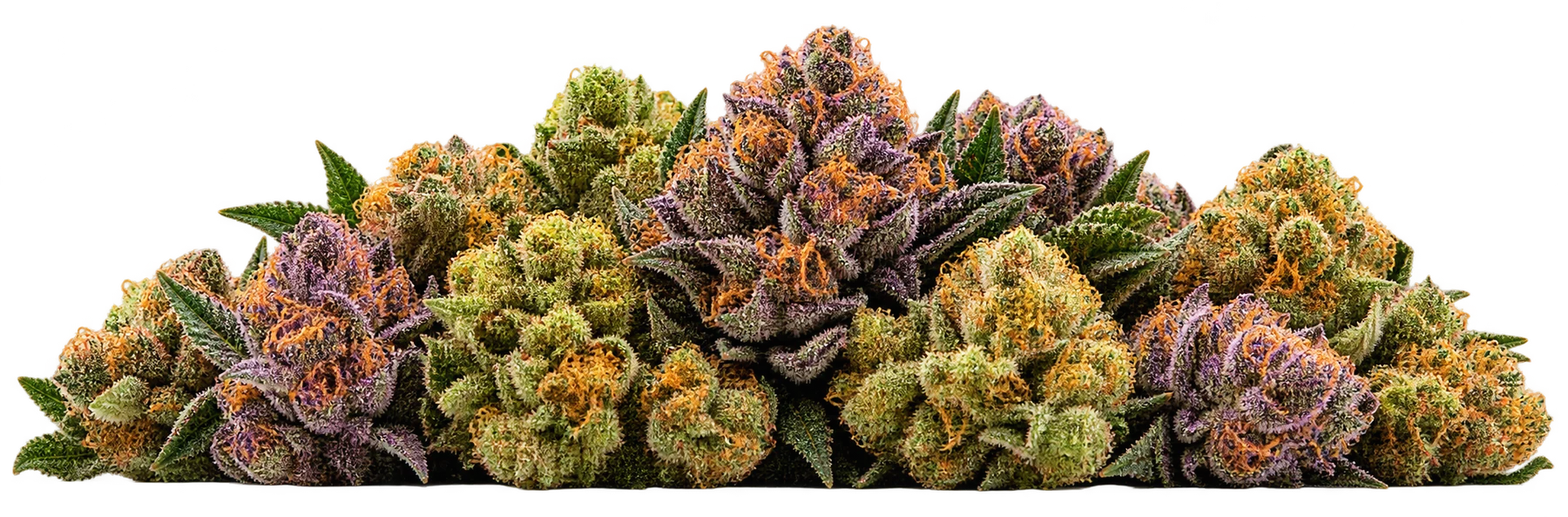 A pile of cured flower